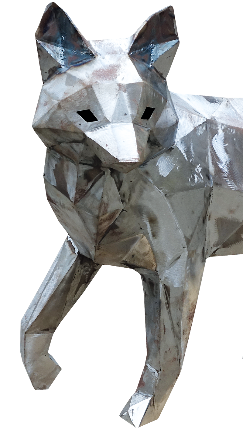 The Fox - Regard Perçant