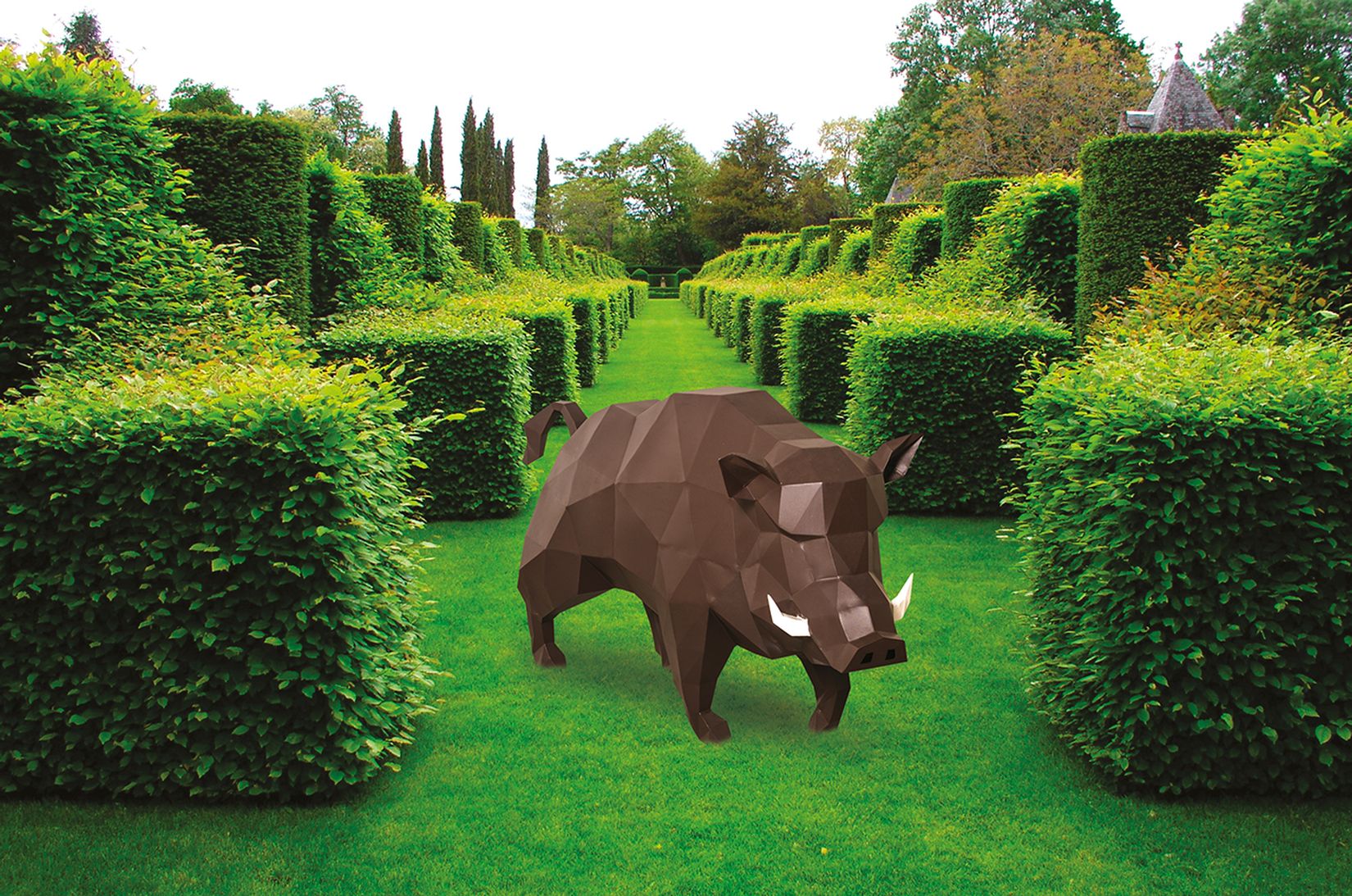 Wild boar in the middle of a park composed of boxwood and a grass-covered ground