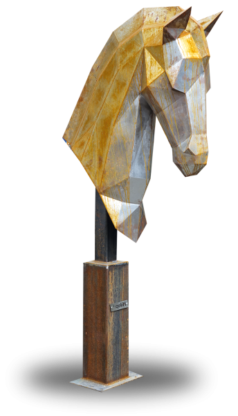 Caballo - Sérénité Équestre